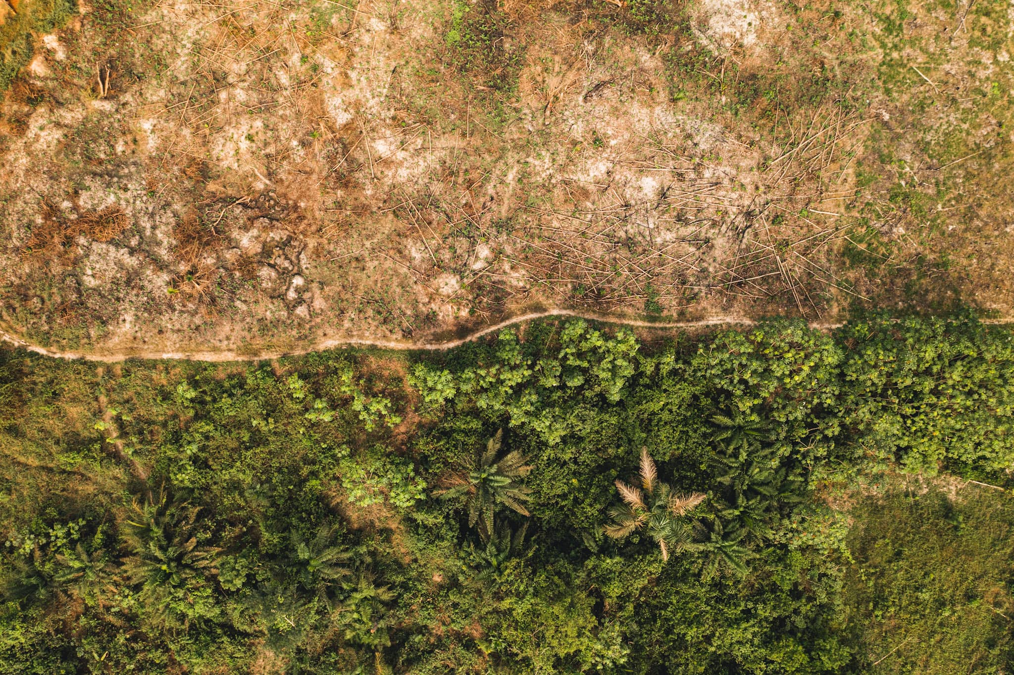 drone shot of an agricultural wasteland in cote d’ivoire