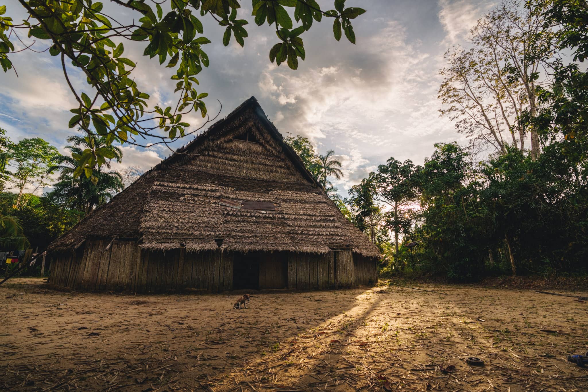 Indigenous maloka in the colombian amazon