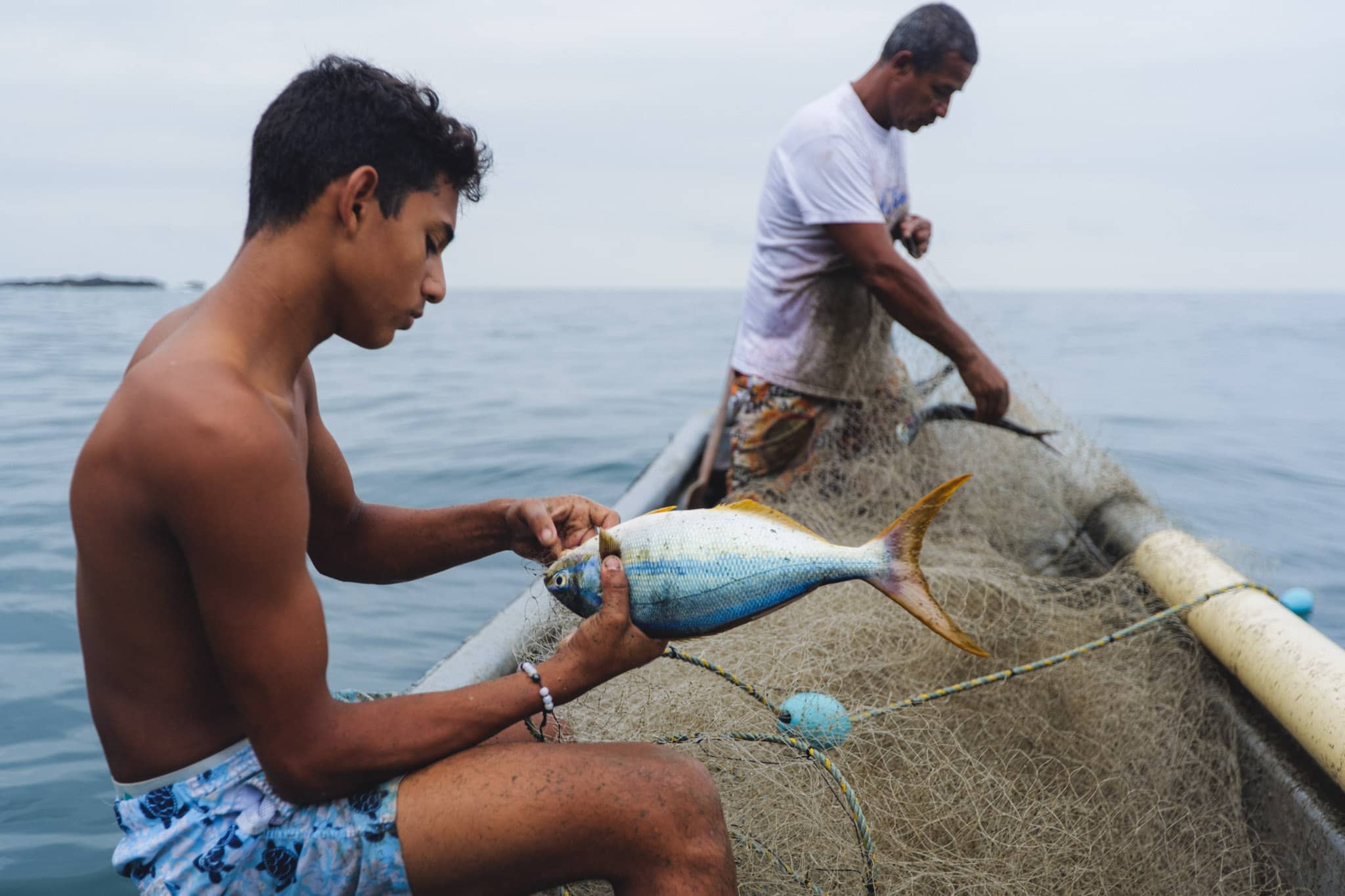 colombian fisherman  in the chocó sorting fish from his net